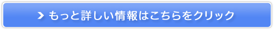 tFuCPLUS̔TCg